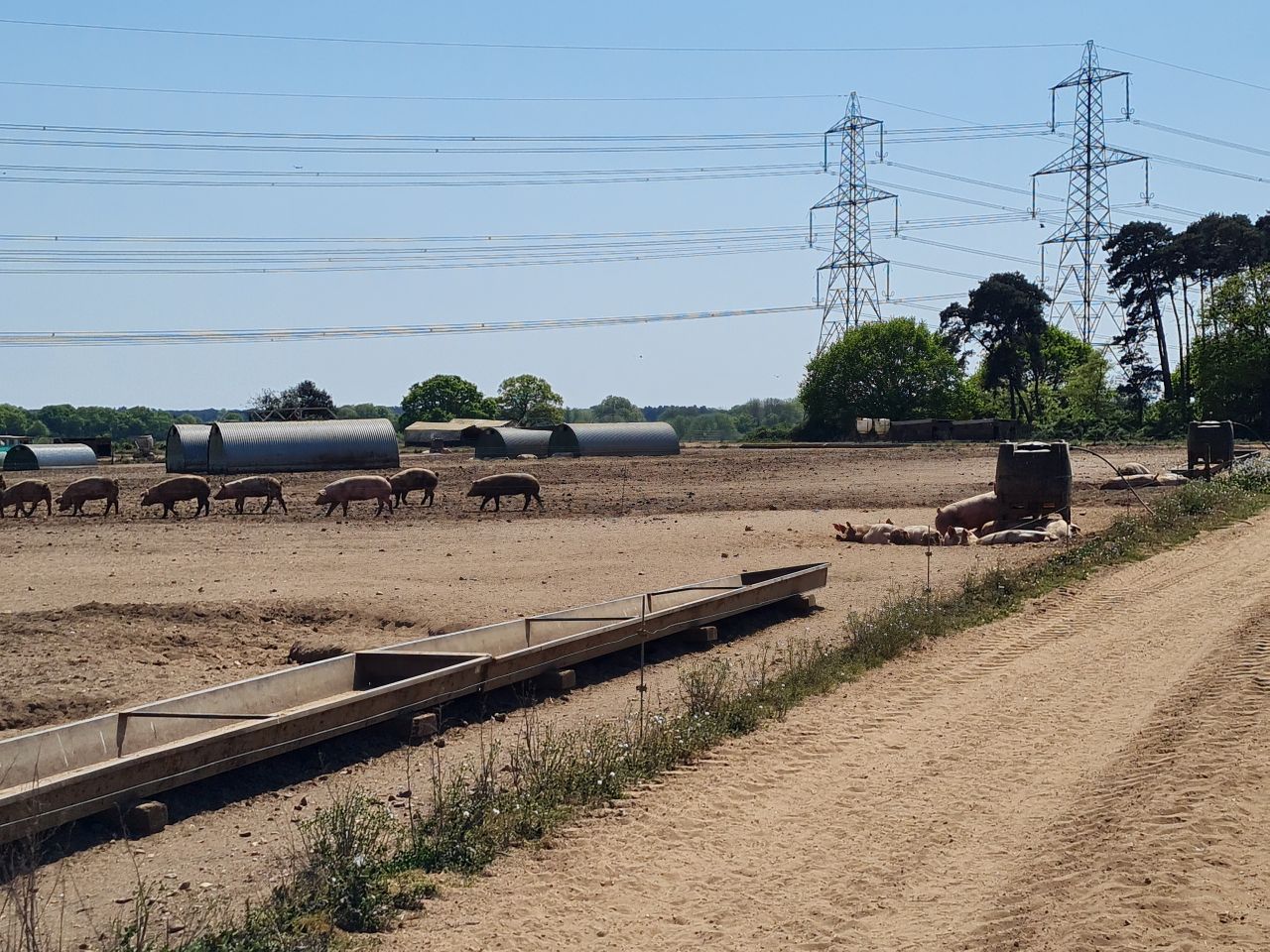 2025-05-02 31 Wickham Market to Saxmundham.jpg