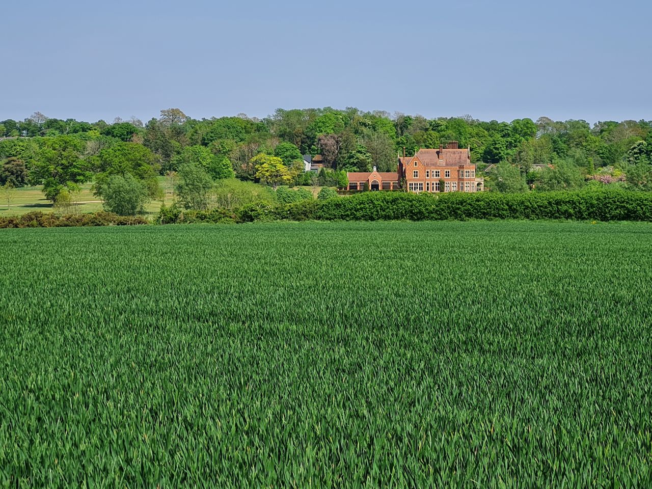 2025-05-02 33 Wickham Market to Saxmundham.jpg