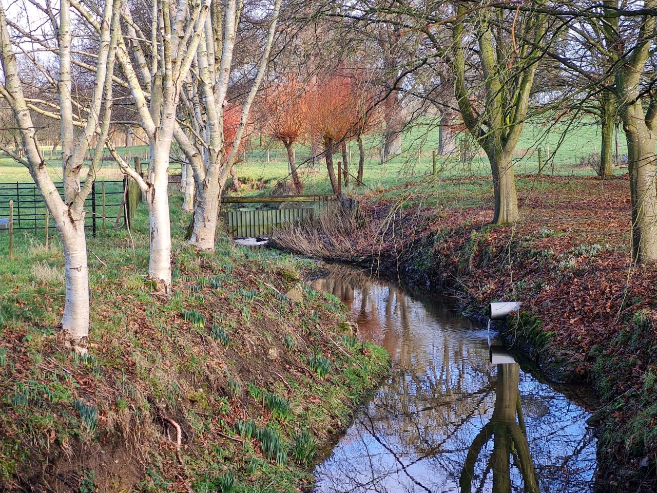 2025-02-06 03 Ringsfield and Redisham.jpg