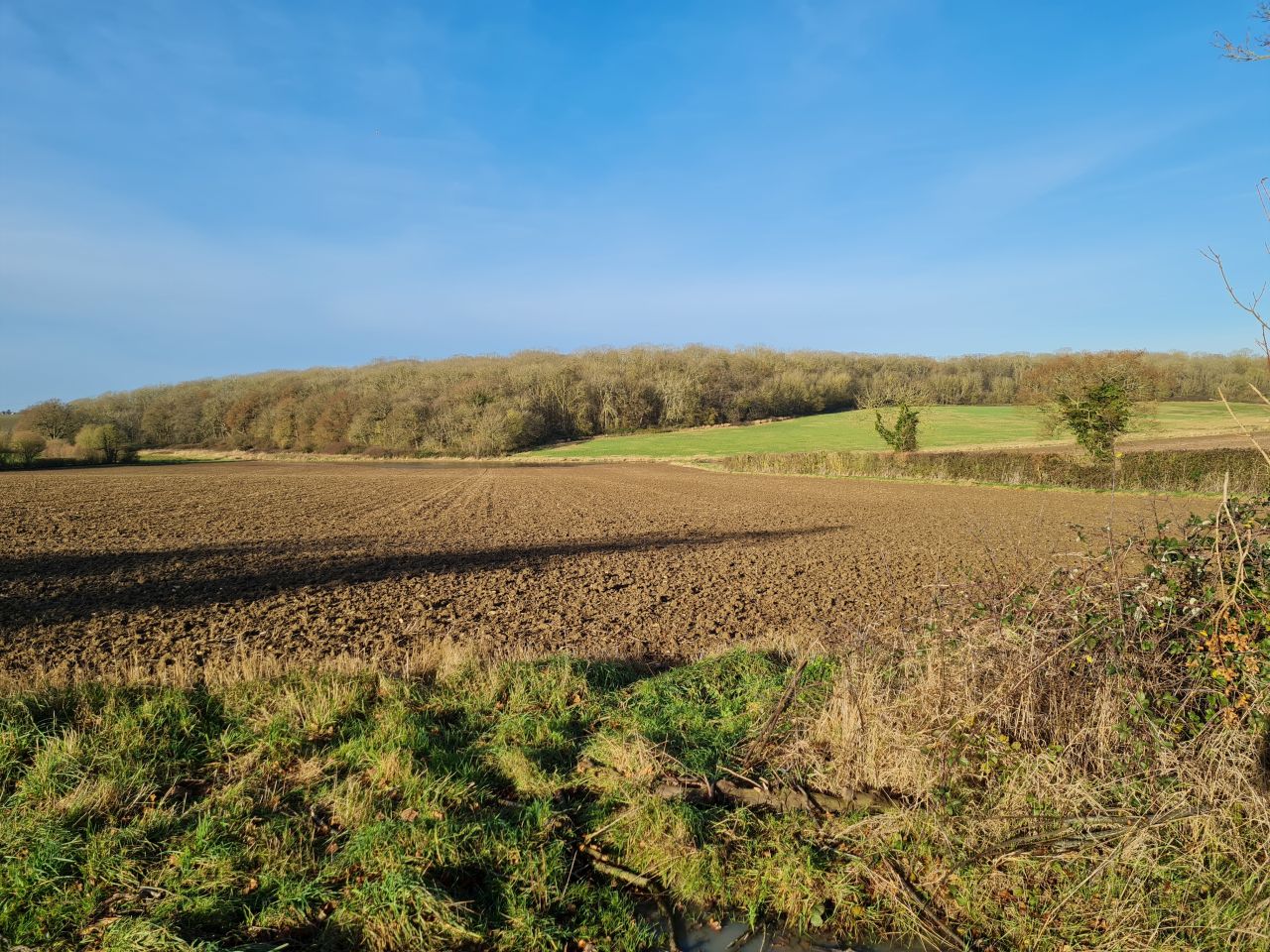 2024-12-06 05 Stowupland.jpg