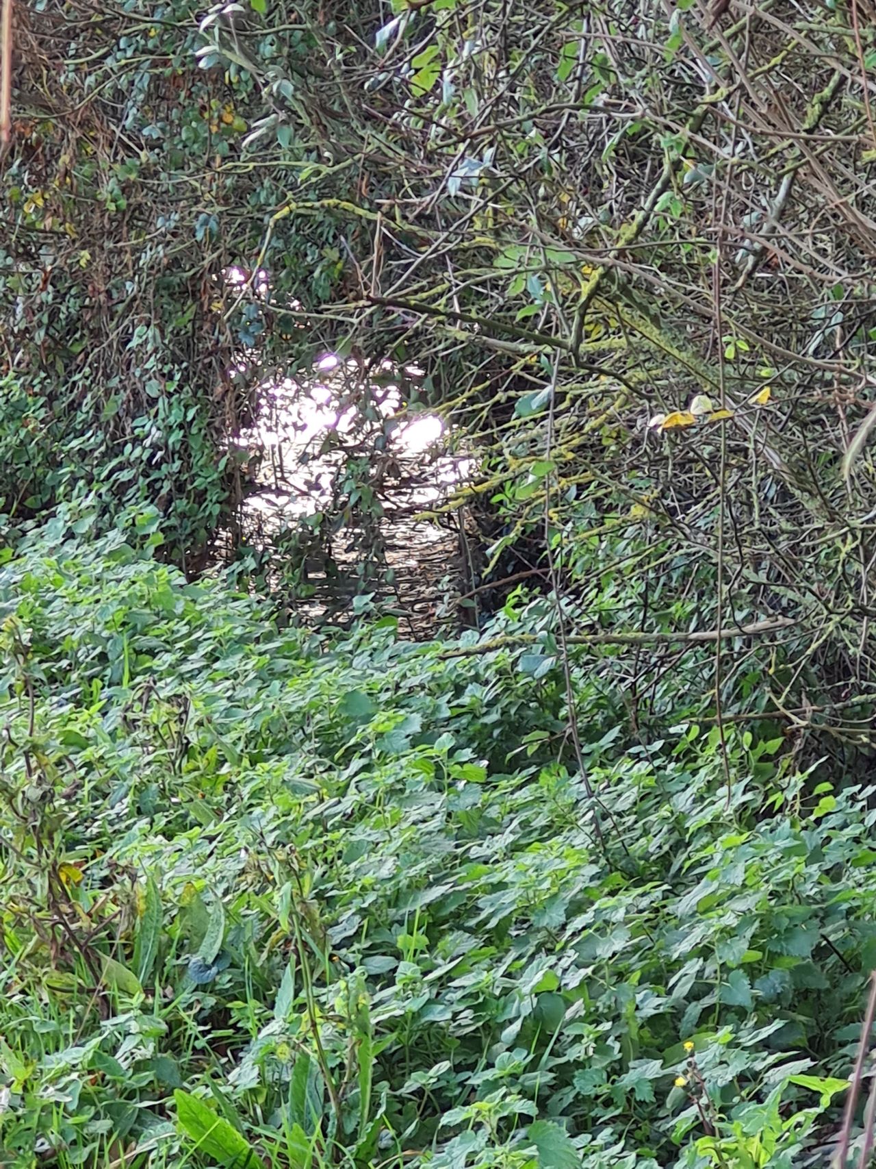 2024-12-06 06 Stowupland.jpg