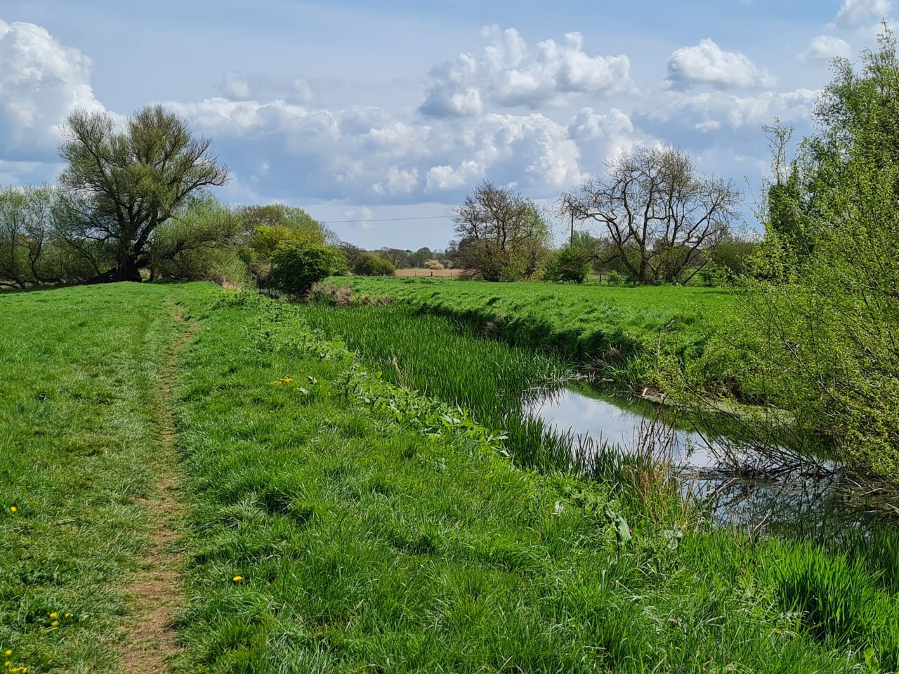 2025-04-22 12 Stowmarket.jpg