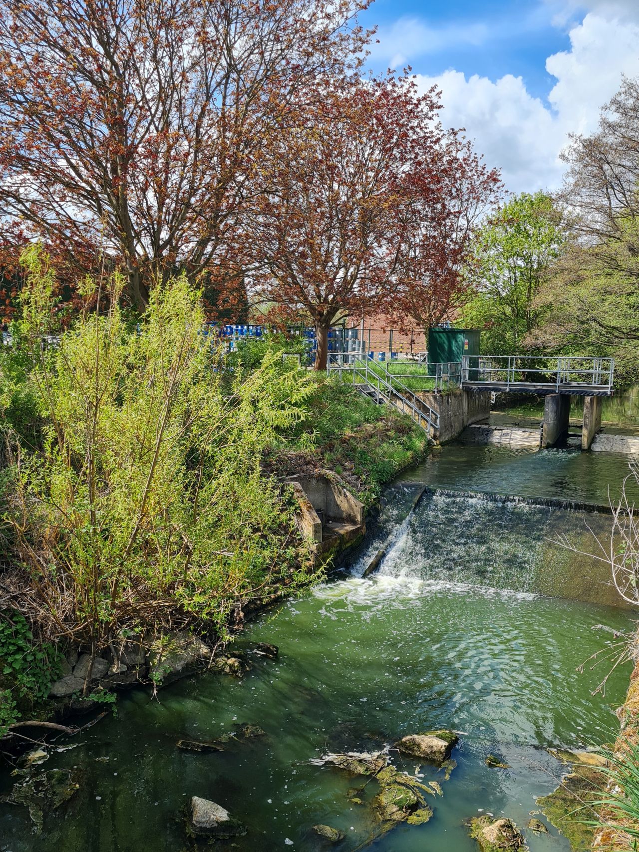 2025-04-22 29 Stowmarket.jpg