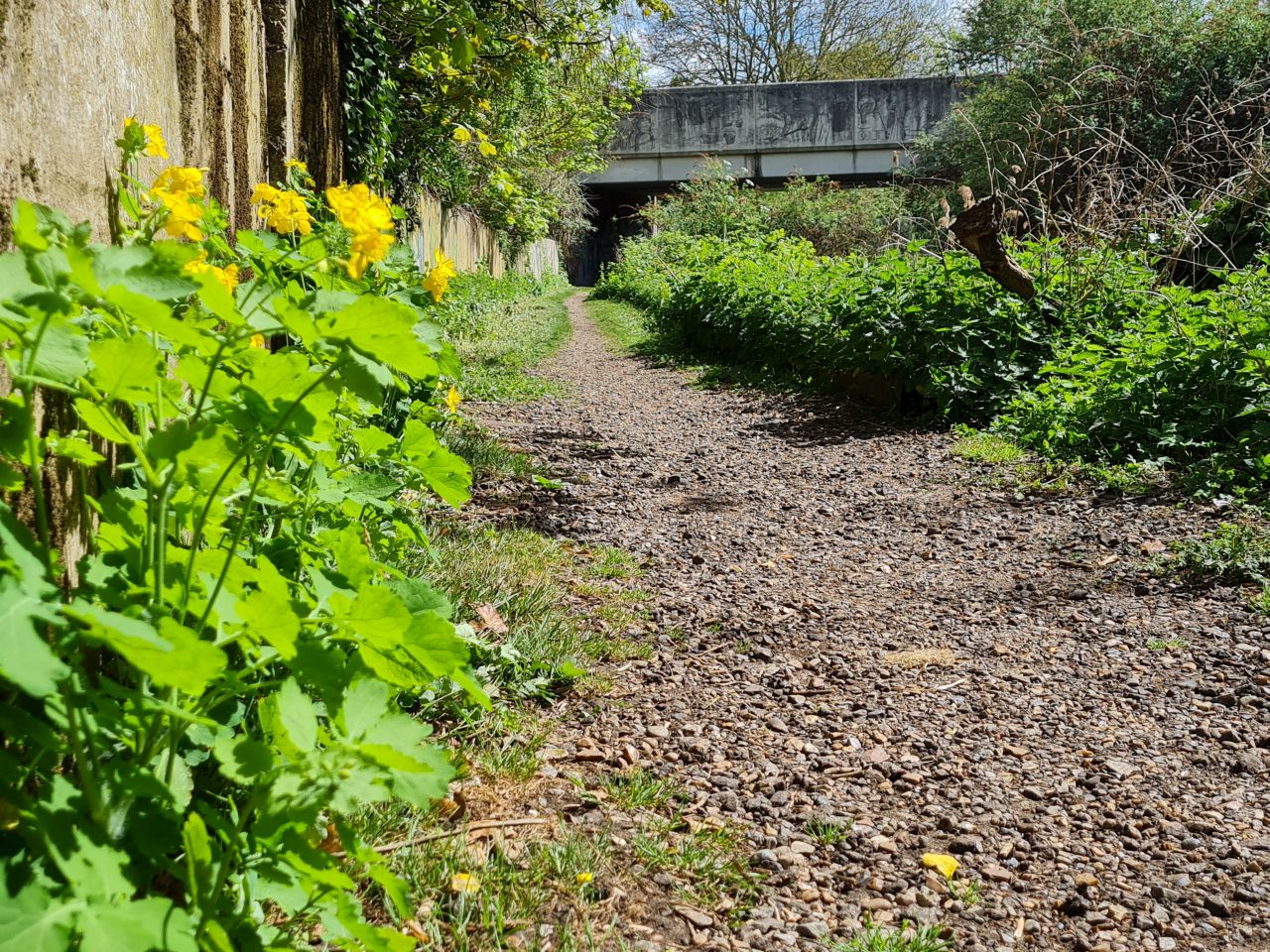 2025-04-22 33 Stowmarket.jpg