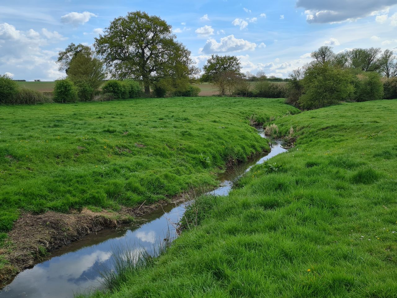 2025-04-22 45 Stowmarket.jpg