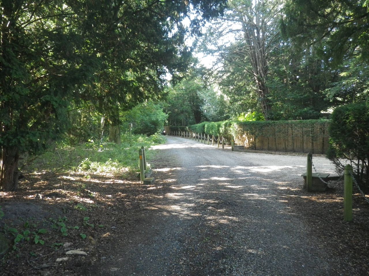 2025-08-10 03 Hoxne and South Green.jpg