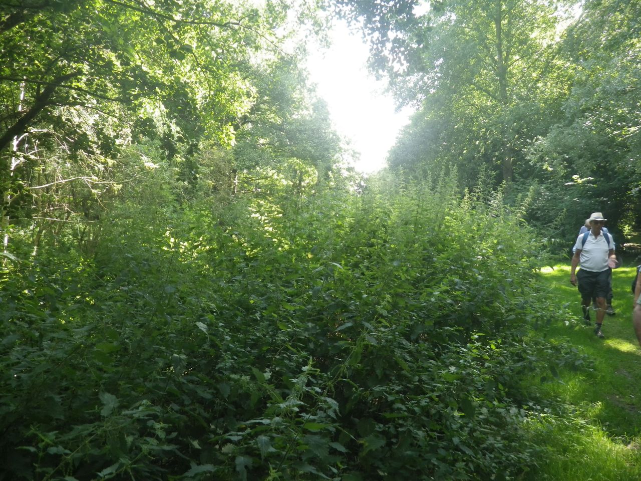 2025-08-10 13 Hoxne and South Green.jpg