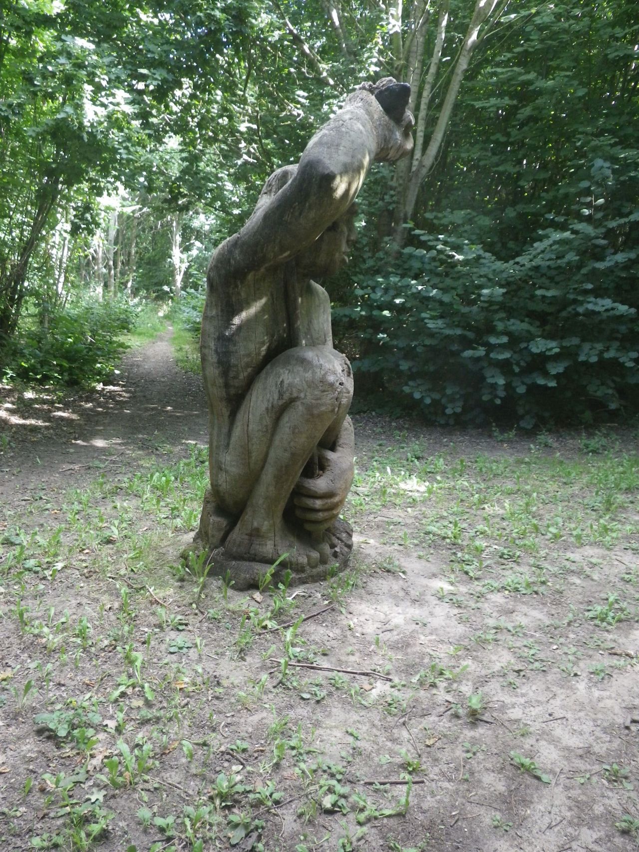 2025-08-10 14 Hoxne and South Green.jpg