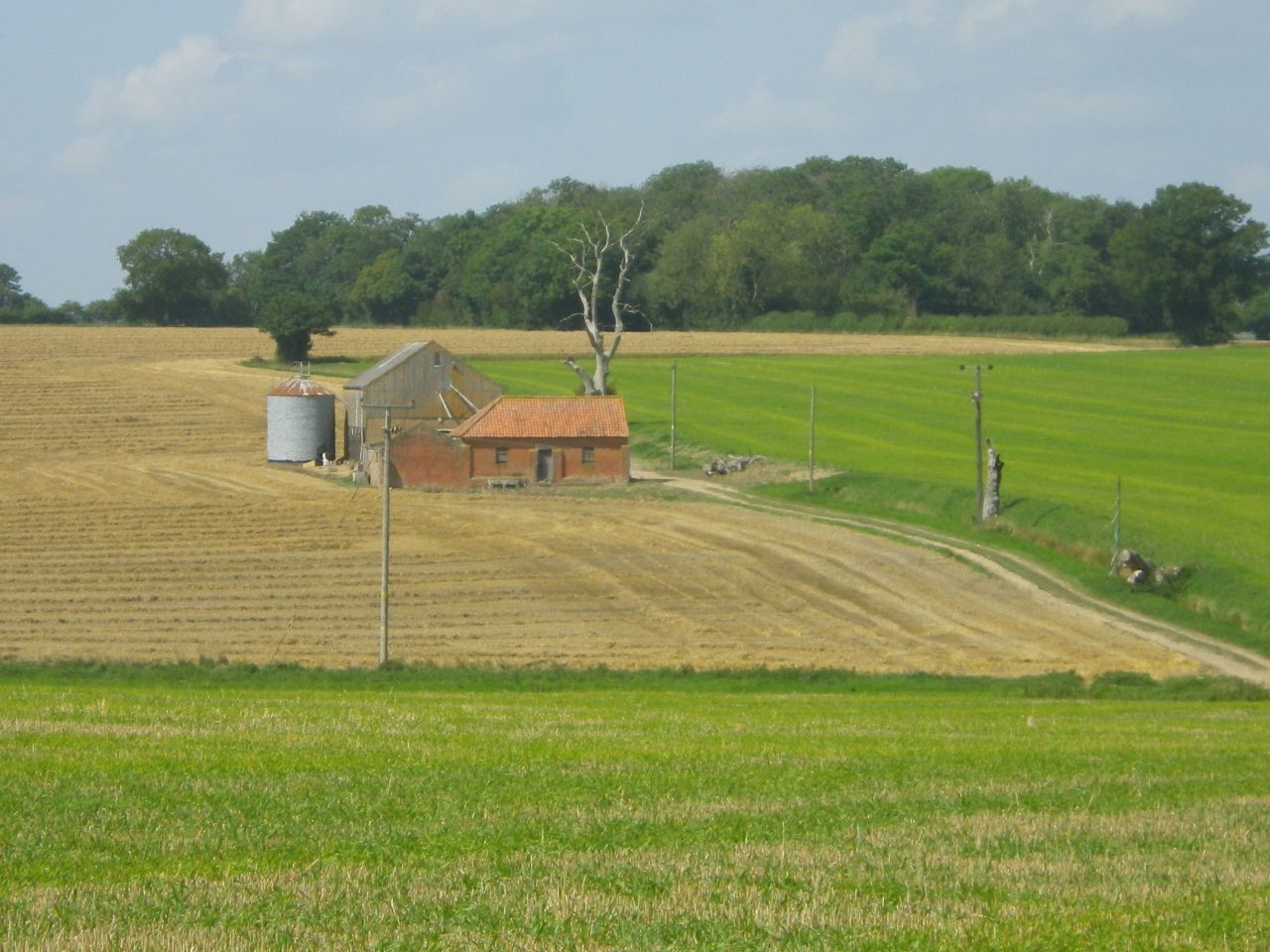 2025-08-10 32 Hoxne and South Green.jpg