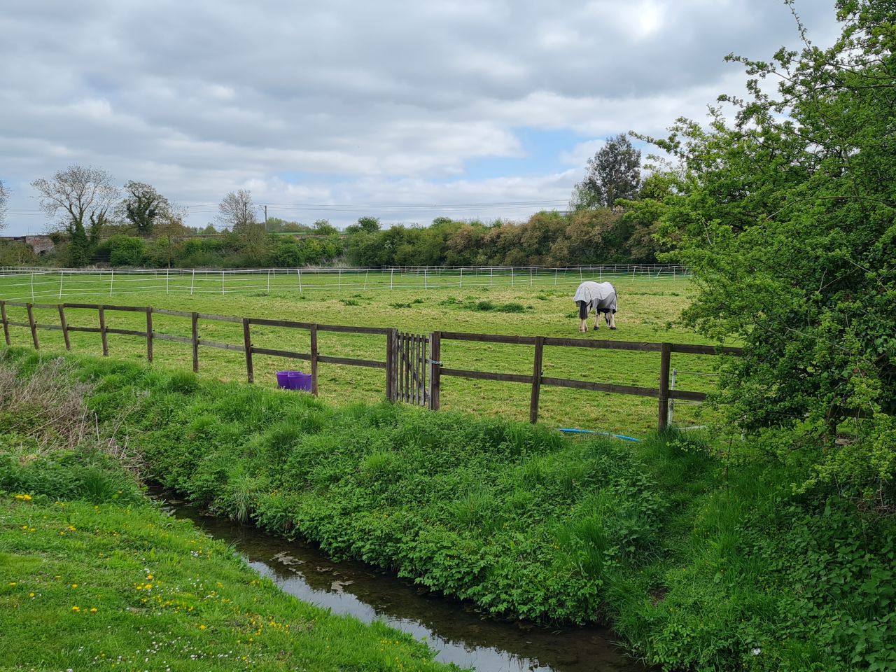 2025-04-24 04 Dagworth and Wetherden.jpg