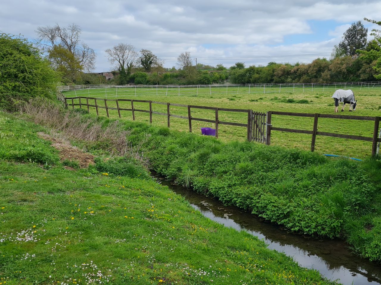 2025-04-24 05 Dagworth and Wetherden.jpg