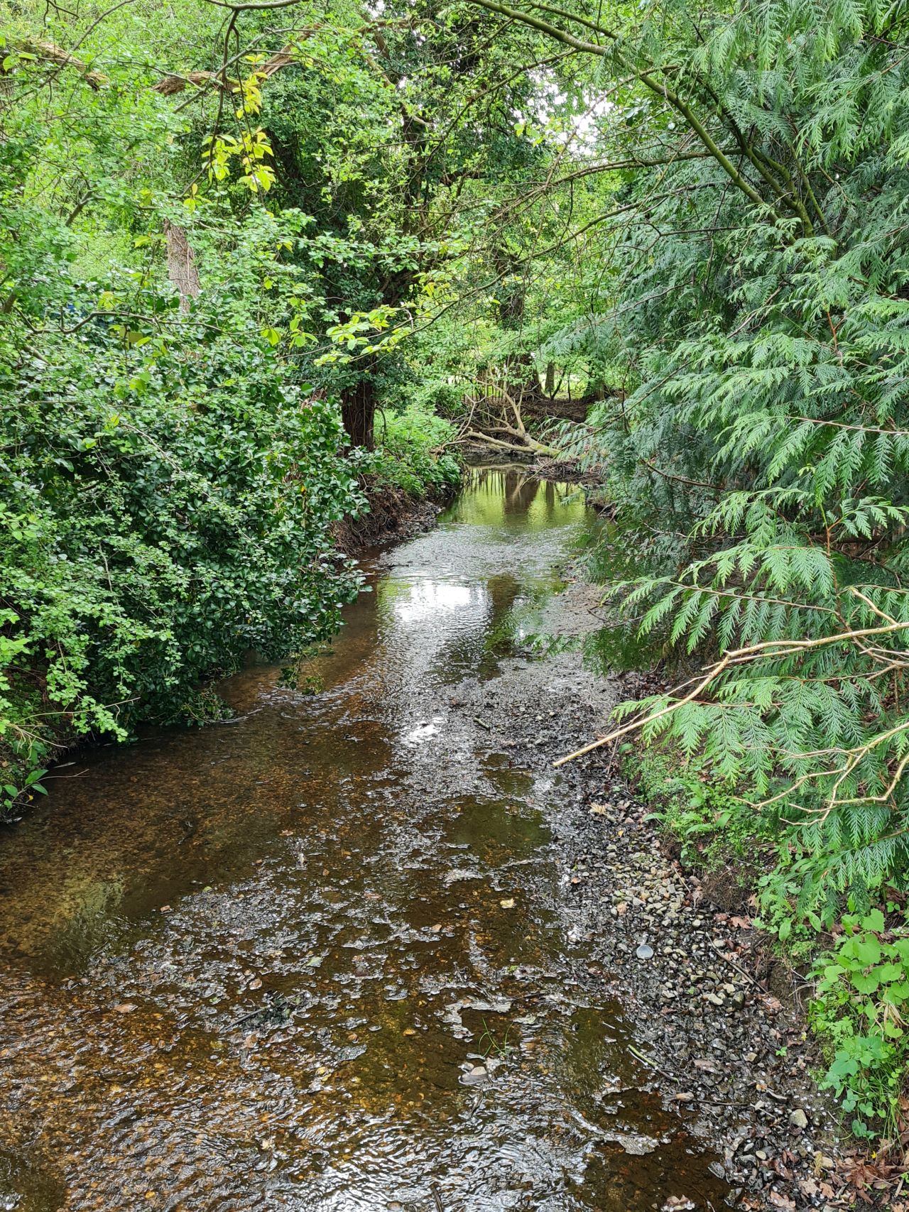 2025-04-24 10 Dagworth and Wetherden.jpg