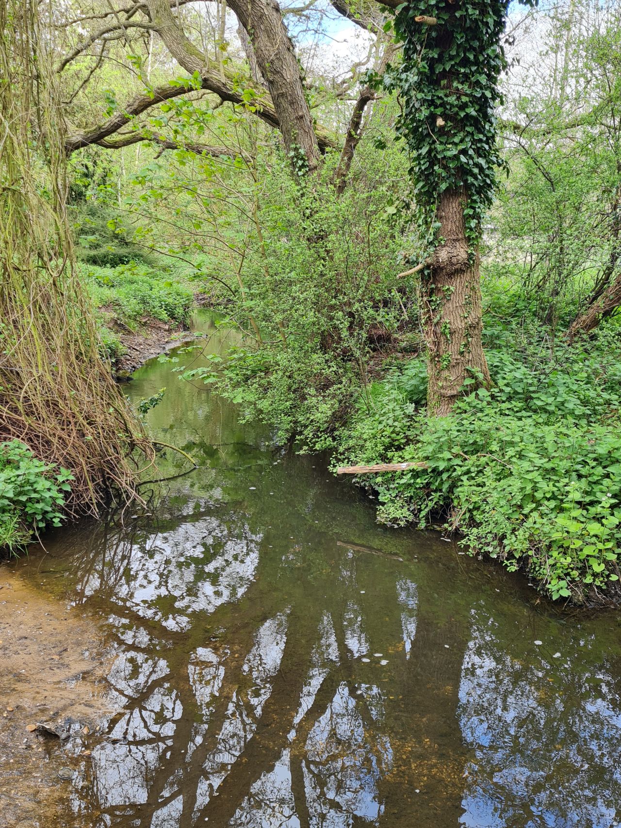 2025-04-24 11 Dagworth and Wetherden.jpg