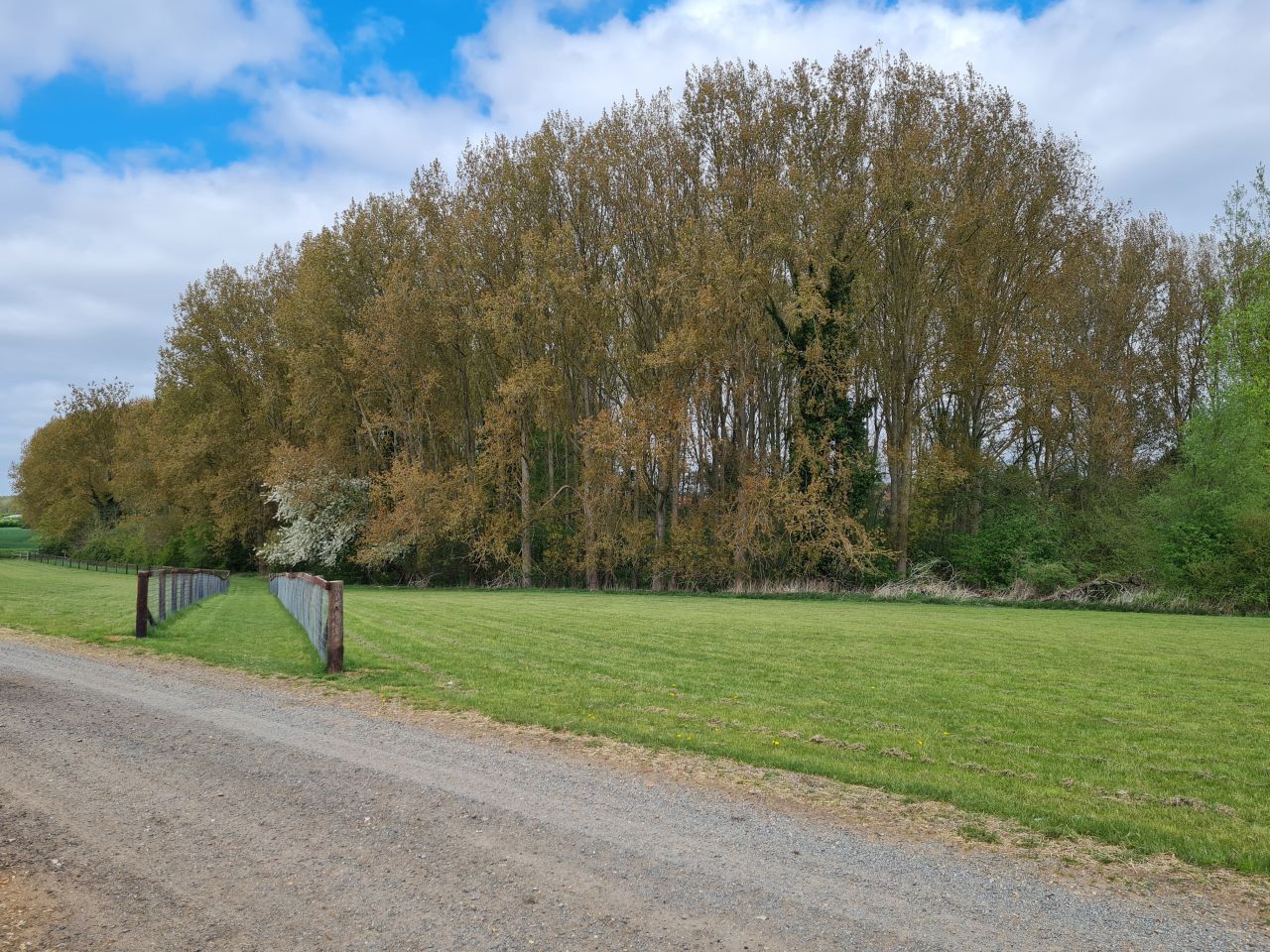 2025-04-24 13 Dagworth and Wetherden.jpg