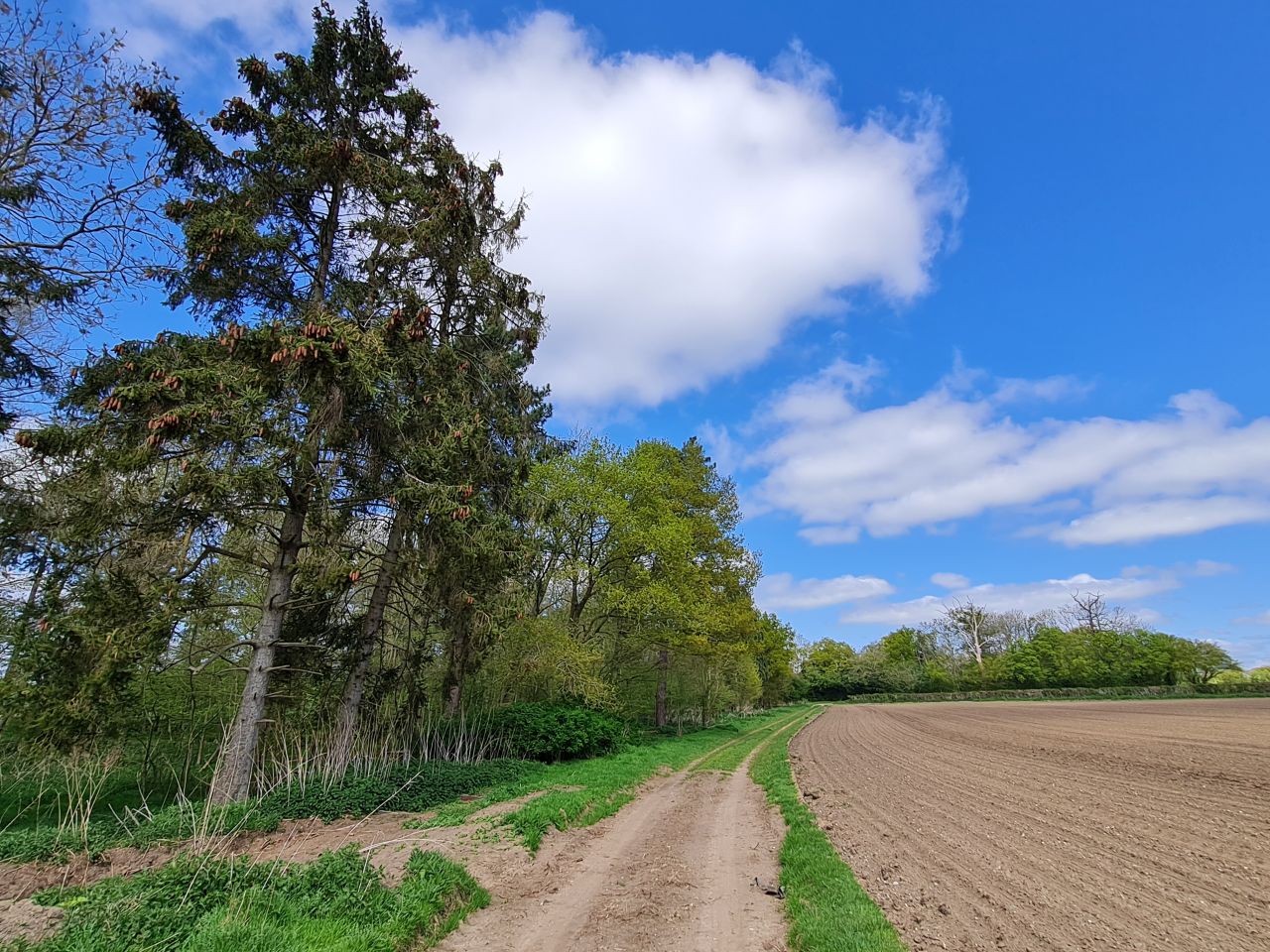 2025-04-24 33 Dagworth and Wetherden.jpg