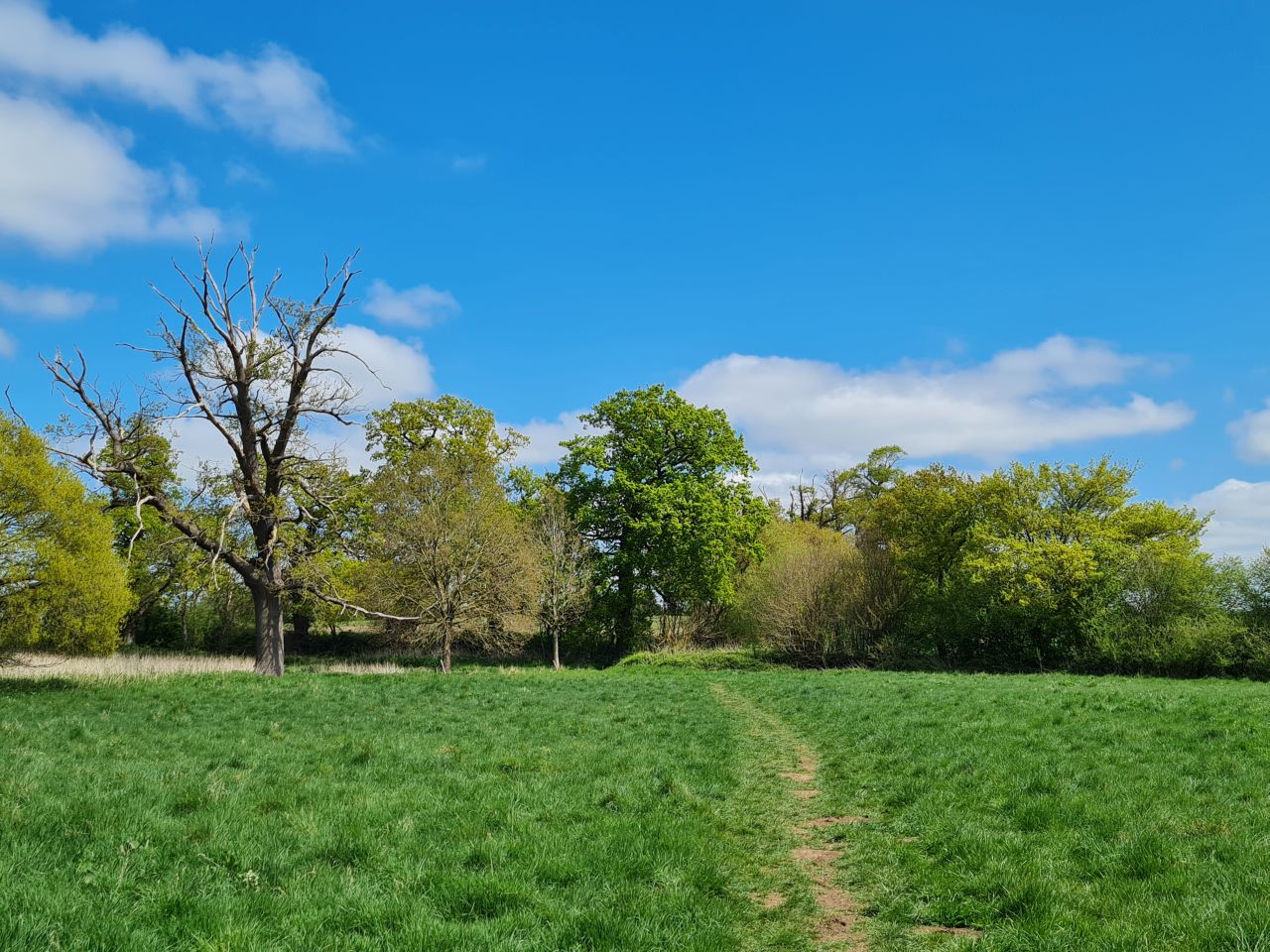 2025-04-24 35 Dagworth and Wetherden.jpg