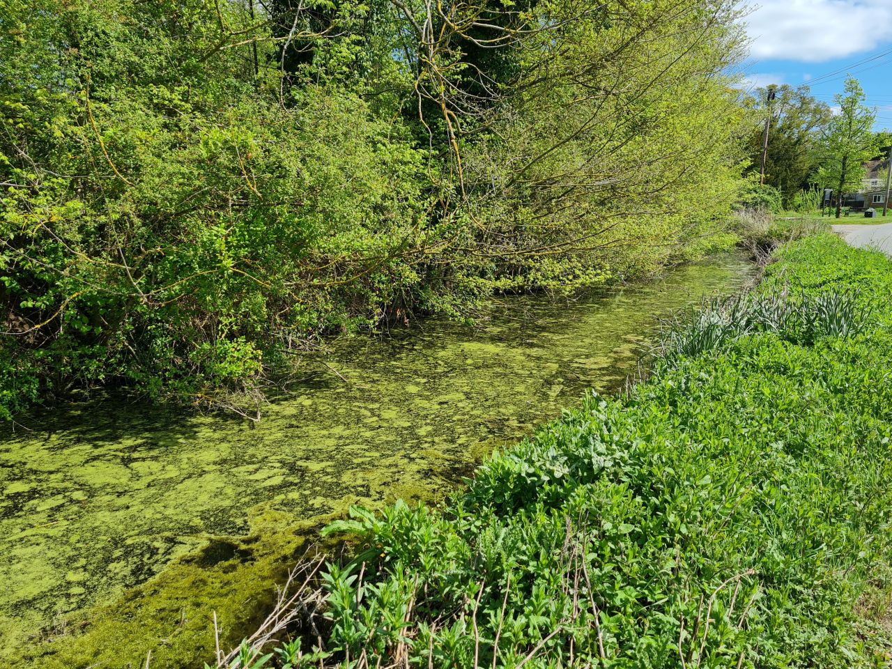 2025-04-24 37 Dagworth and Wetherden.jpg