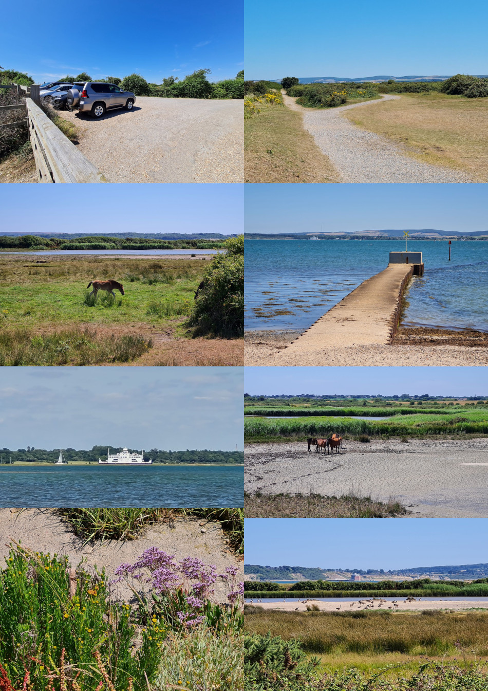 2022-09-26 98 Image.jpg