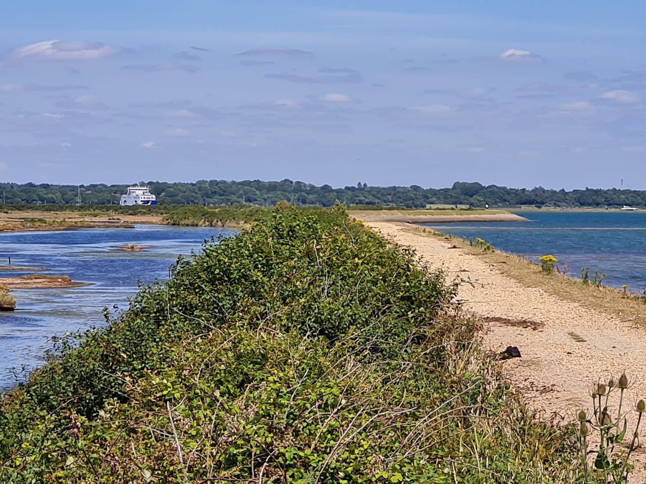 2025-07-09 08 Keyhaven and Lymington Marshes.jpg