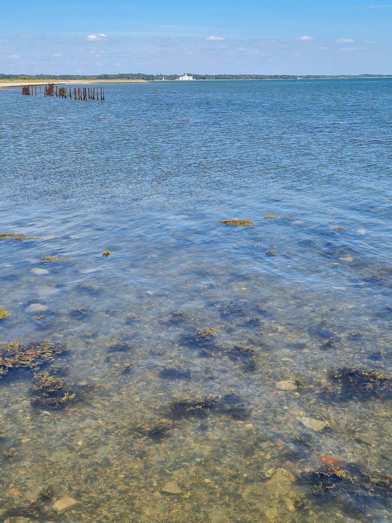 2025-07-09 12 Keyhaven and Lymington Marshes.jpg