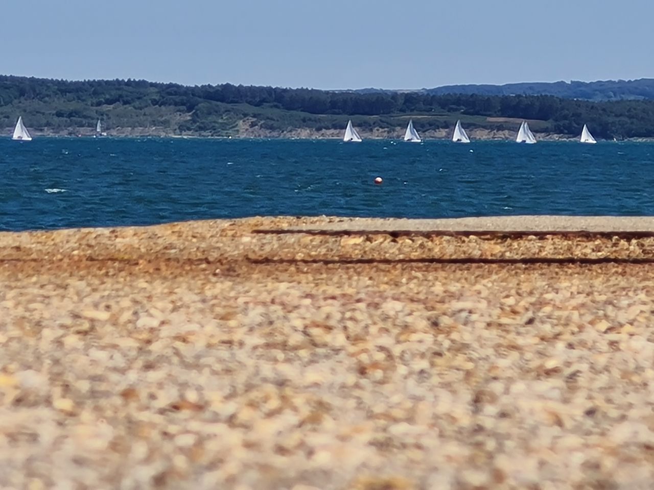 2025-07-09 14 Keyhaven and Lymington Marshes.jpg