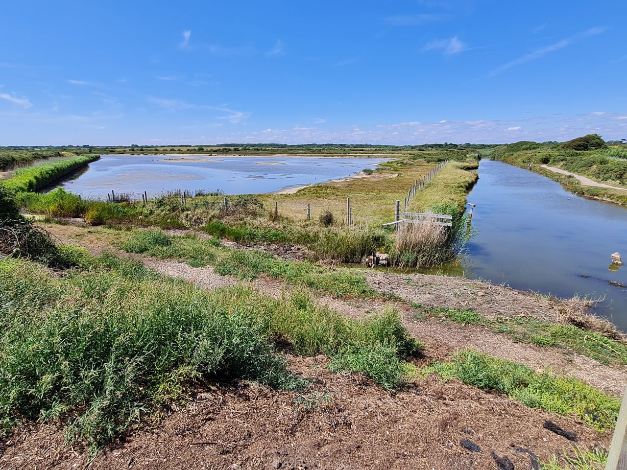 2025-07-09 18 Keyhaven and Lymington Marshes.jpg