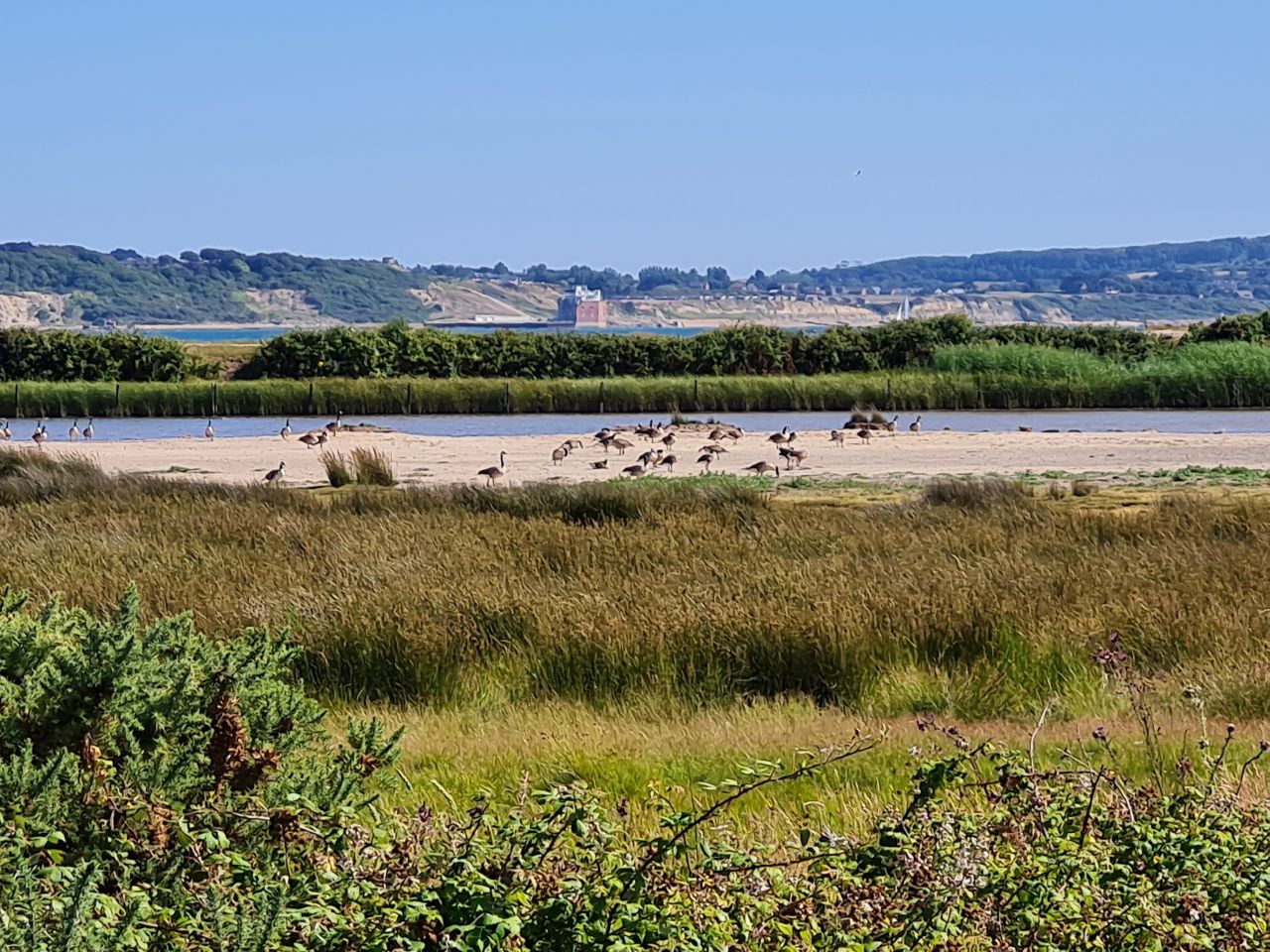 2025-07-09 27 Keyhaven and Lymington Marshes.jpg