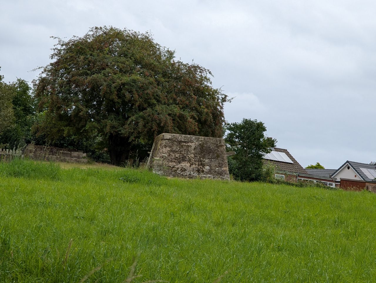 2025-08-21 03 Stoke Holy Cross and Shotesham.jpg