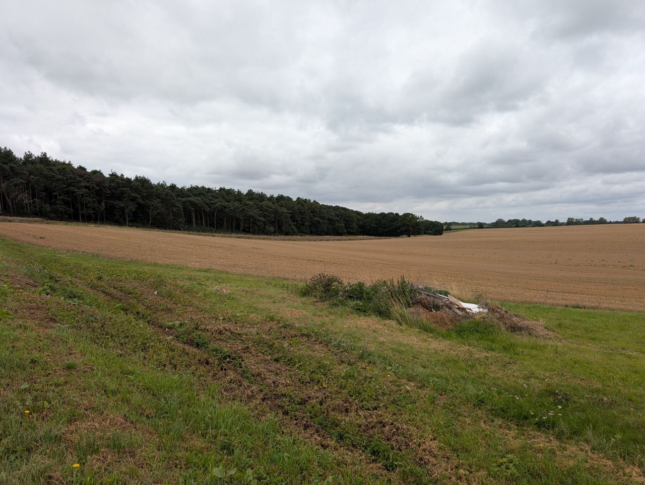 2025-08-21 05 Stoke Holy Cross and Shotesham.jpg