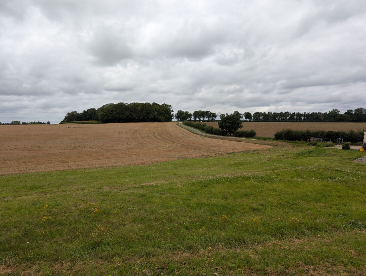 2025-08-21 06 Stoke Holy Cross and Shotesham.jpg