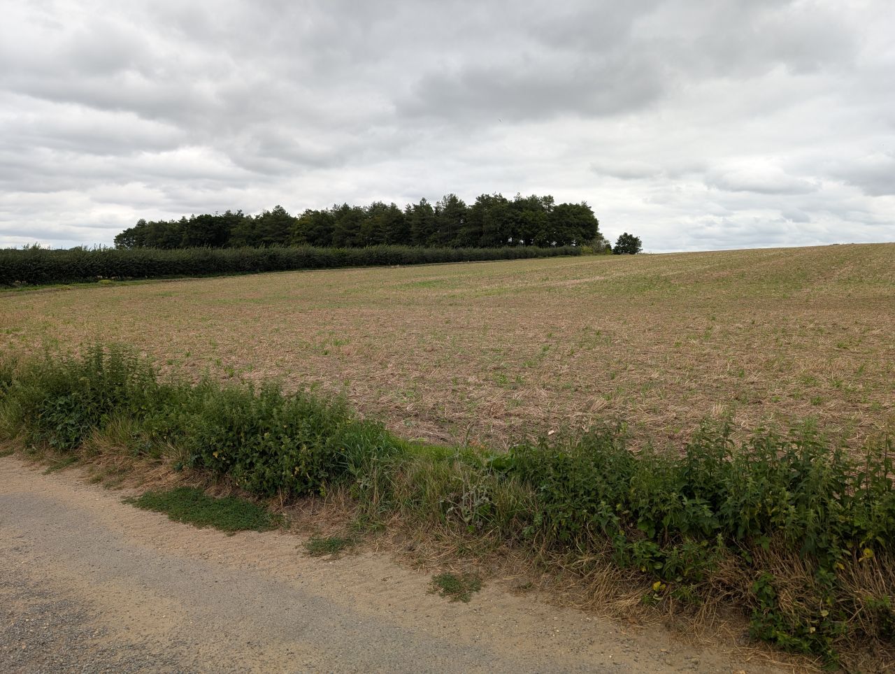 2025-08-21 07 Stoke Holy Cross and Shotesham.jpg