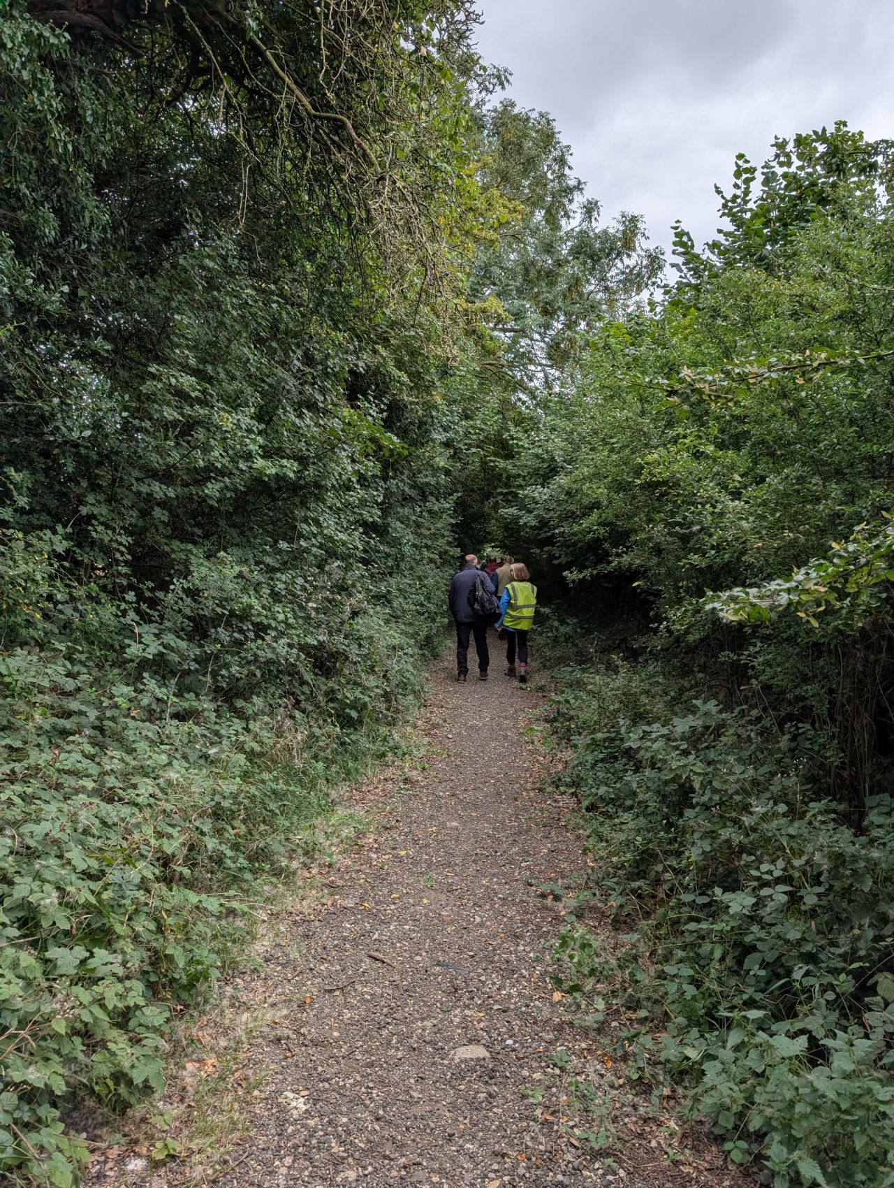 2025-08-21 08 Stoke Holy Cross and Shotesham.jpg