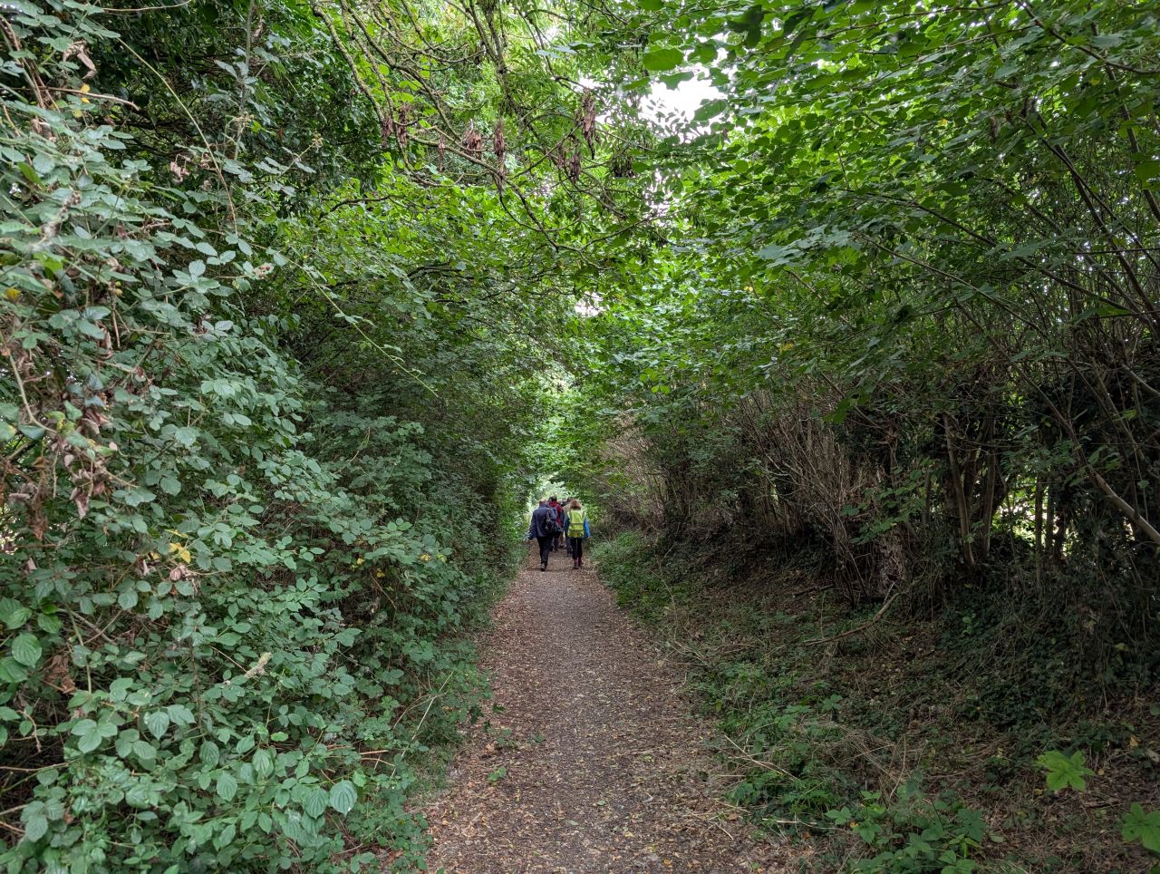 2025-08-21 09 Stoke Holy Cross and Shotesham.jpg