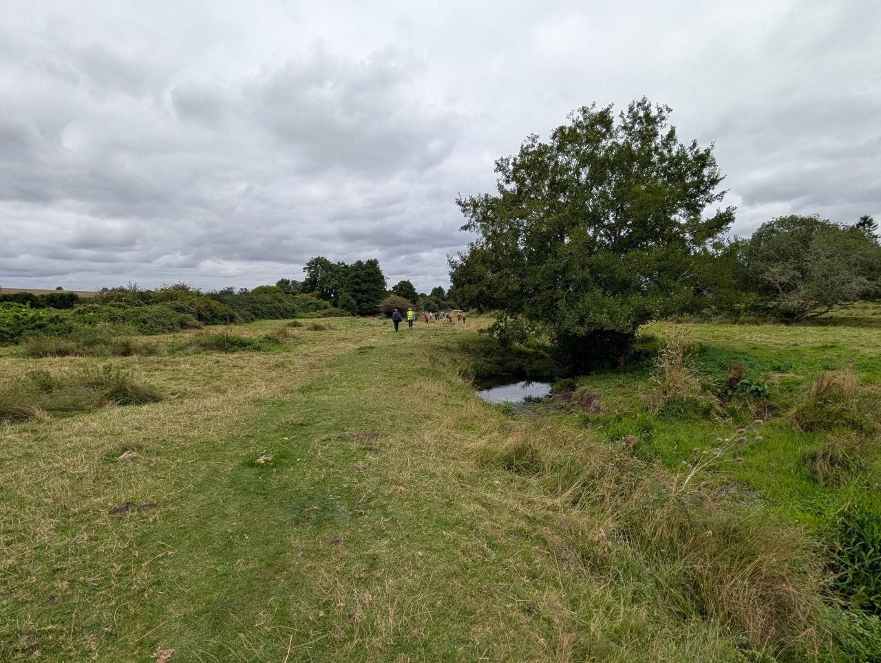 2025-08-21 14 Stoke Holy Cross and Shotesham.jpg