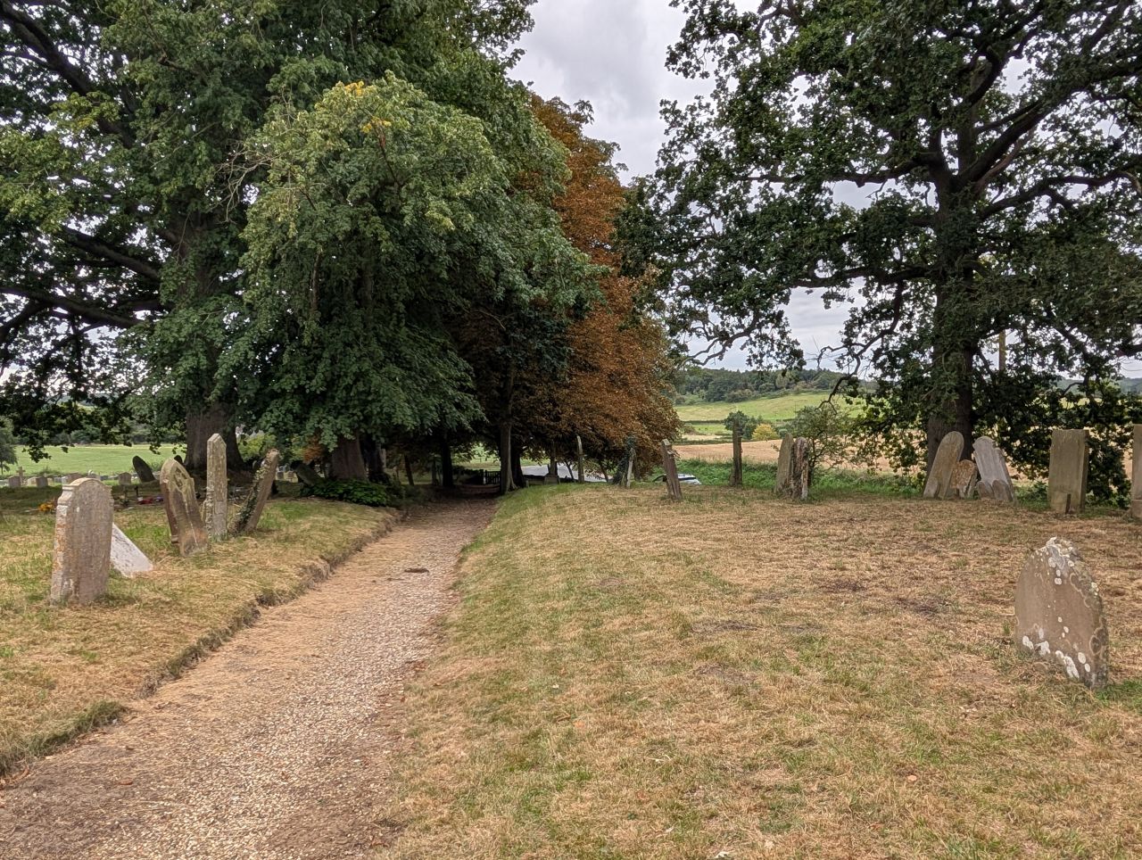 2025-08-21 30 Stoke Holy Cross and Shotesham.jpg