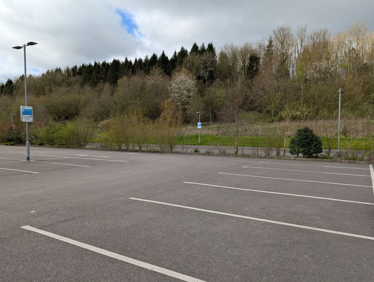 2026-04-05 02 Keele Cherry Blossom.jpg