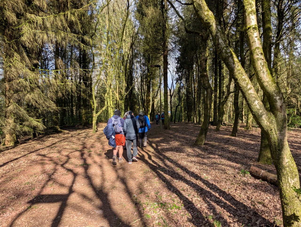 2026-04-05 06 Keele Cherry Blossom.jpg