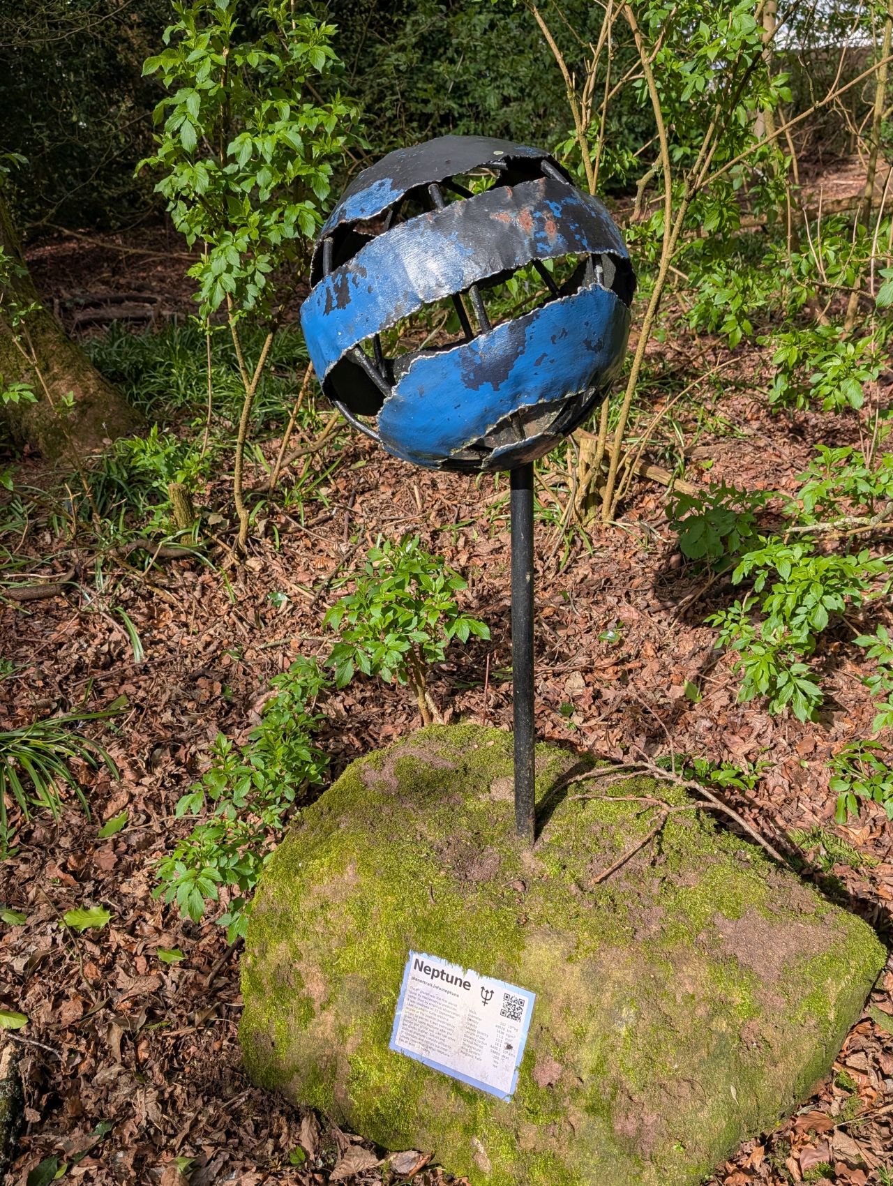 2026-04-05 10 Keele Cherry Blossom.jpg