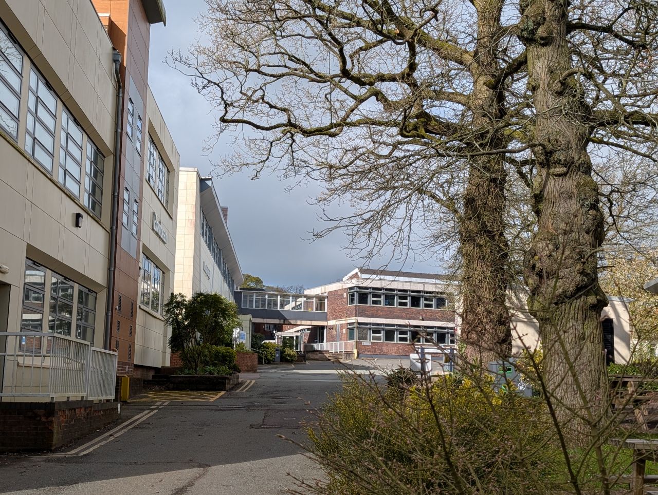 2026-04-05 27 Keele Cherry Blossom.jpg