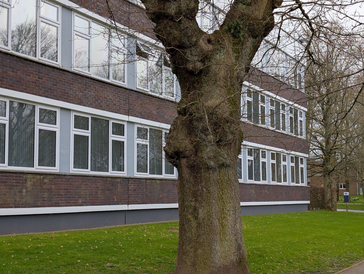 2026-04-05 31 Keele Cherry Blosson.jpg