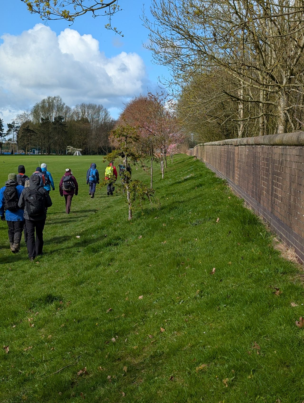 2026-04-05 35 Keele Cherry Blosson.jpg