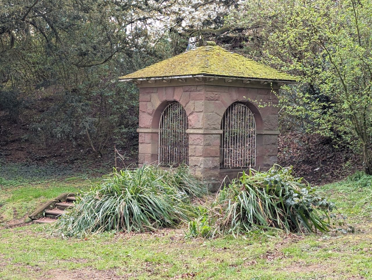 2026-04-05 89 Keele Cherry Blosson.jpg