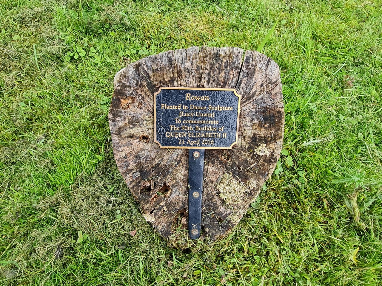 2024-05-30 14 Thurton and Berg Apton.jpg