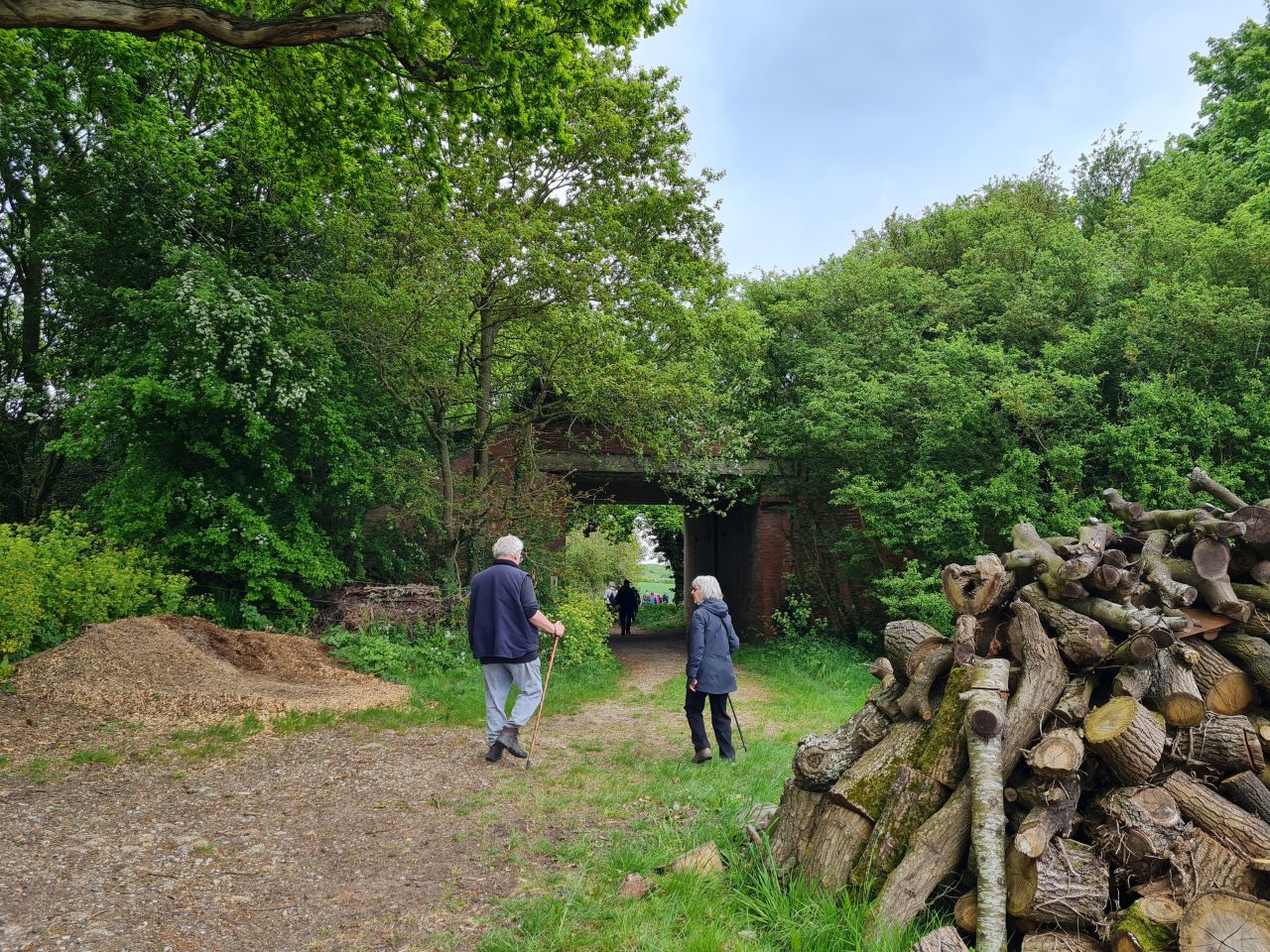 2025-05-07 01 Westhall.jpg