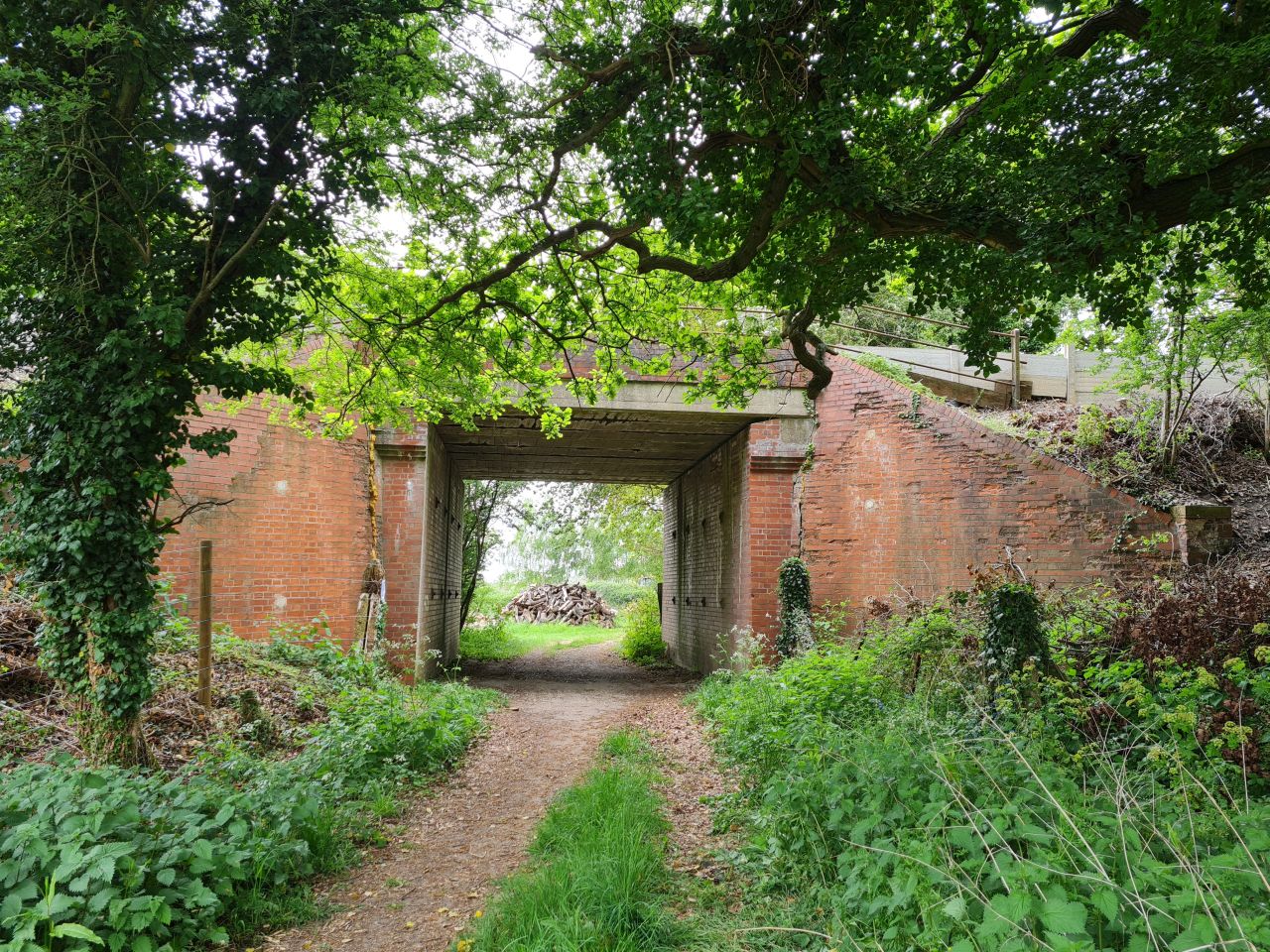 2025-05-07 02 Westhall.jpg