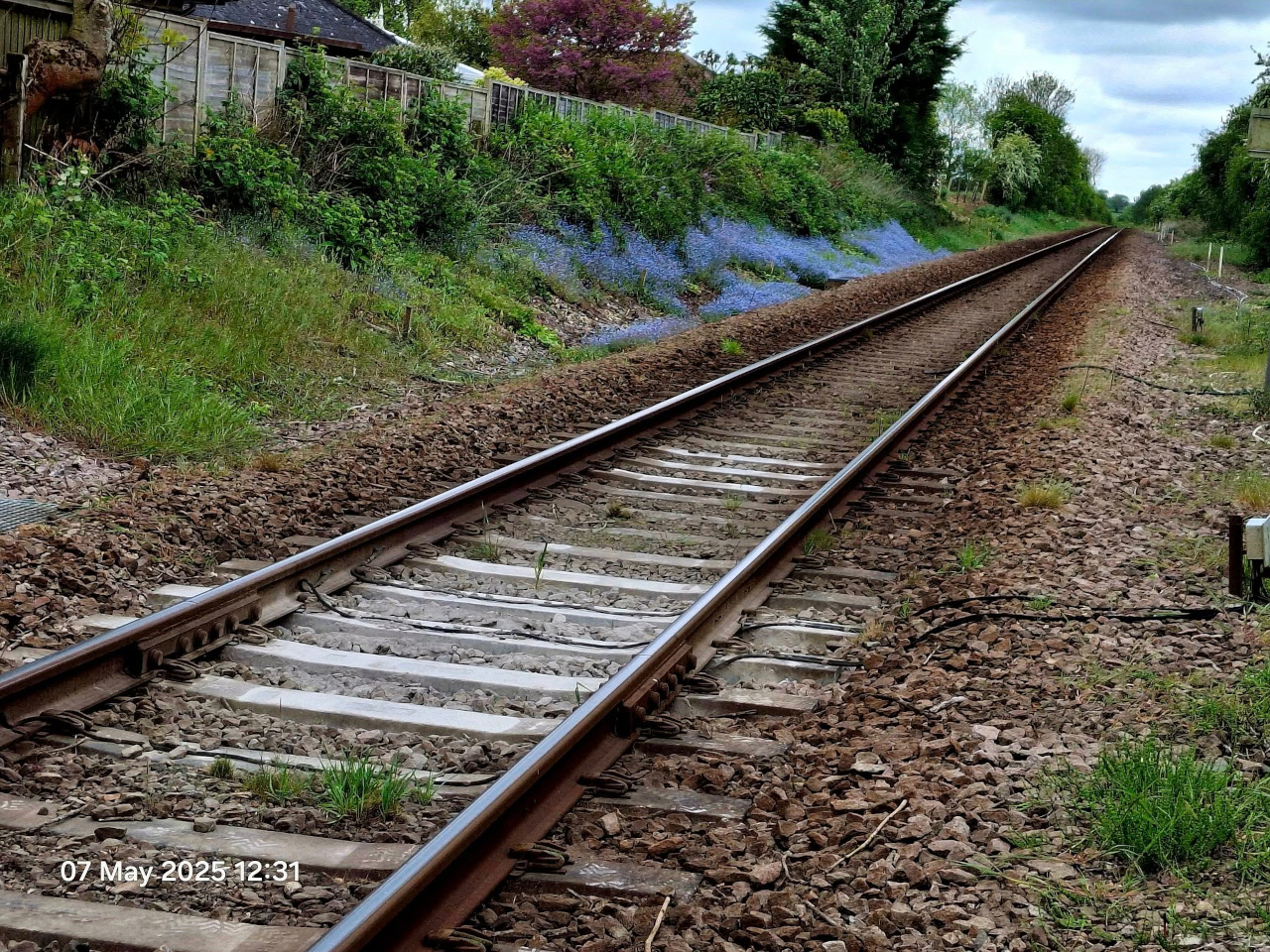 2025-05-07 06 Westhall.jpg