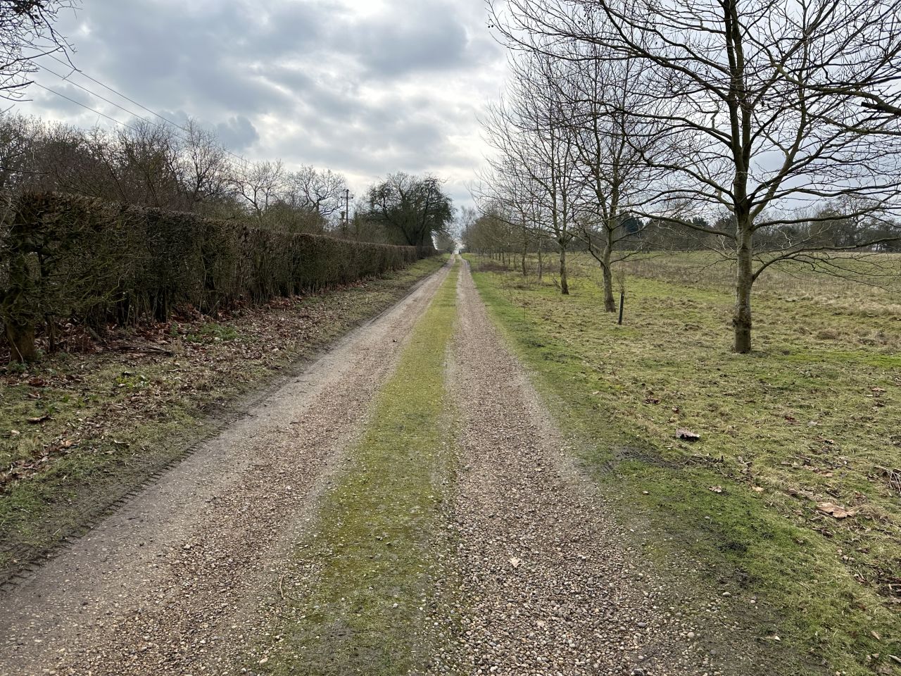 2025-02-16 09 Harleston and Needahm.jpg