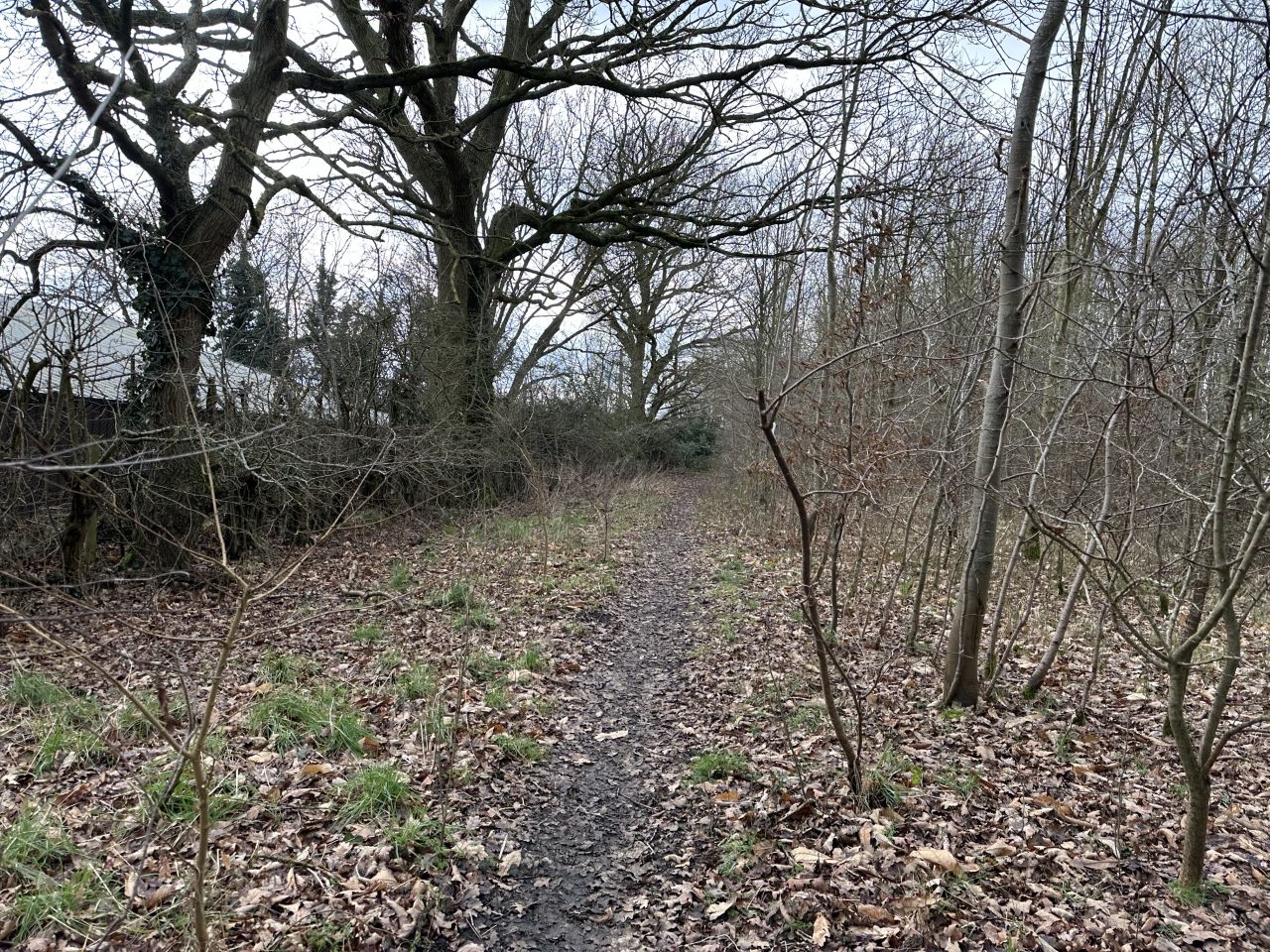 2025-02-16 10 Harleston and Needahm.jpg