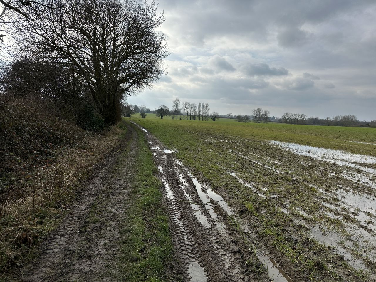 2025-02-16 11 Harleston and Needahm.jpg
