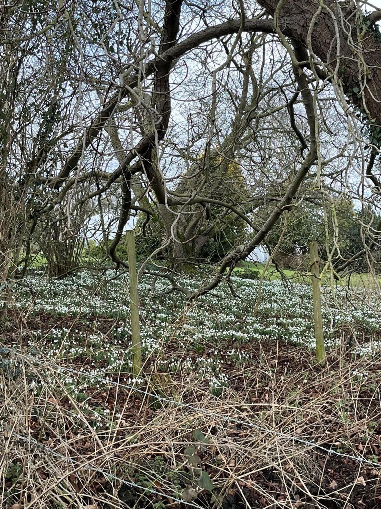 2025-02-16 31 Harleston and Needahm.jpg